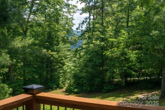 398 Falling Leaves Ln, Hendersonville, NC 28792 - photo 40
