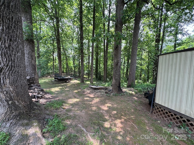 136 Christopher Rd, Marion, NC 28752 - view of yard