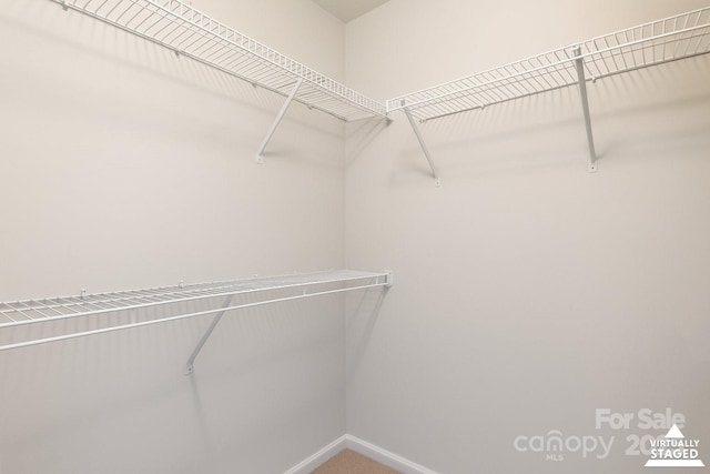 10012 Michael Crossing Dr, Charlotte, NC 28213 - walk in closet with carpet flooring
