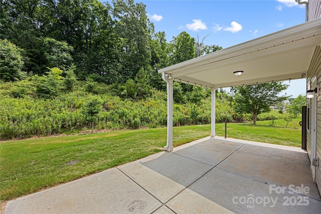 8400 Empress Ct, Charlotte, NC 28227 - view of patio