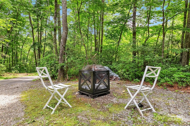 252 Idylwild Ln, Black Mountain, NC 28711 - view of yard
