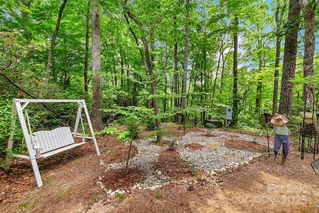 252 Idylwild Ln, Black Mountain, NC 28711 - view of yard
