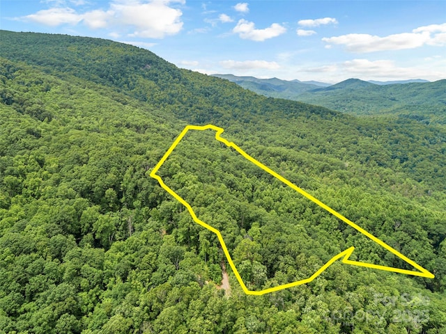 252 Idylwild Ln, Black Mountain, NC 28711 - aerial view of a heavily wooded area and a mountainous background