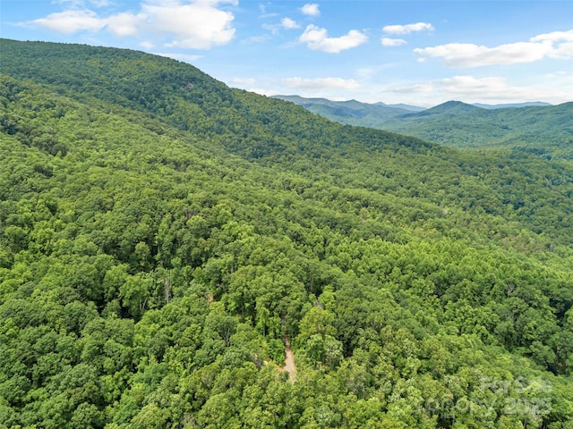 252 Idylwild Ln, Black Mountain, NC 28711 - view of mountain background featuring a forest