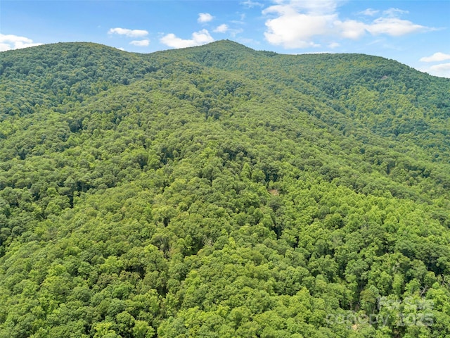 252 Idylwild Ln, Black Mountain, NC 28711 - view of mountain background featuring a forest