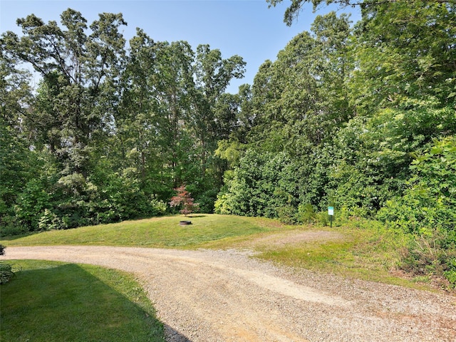 31 Rory Phillips Vw, Candler, NC 28715 - view of road