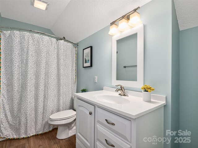 31 Rory Phillips Vw, Candler, NC 28715 - bathroom featuring wood finished floors, toilet, vanity, lofted ceiling, and a textured ceiling
