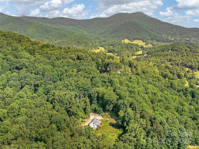 31 Rory Phillips Vw, Candler, NC 28715 - mountain view with a heavily wooded area