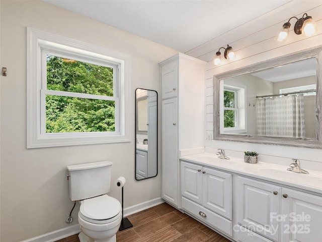 31 Rory Phillips Vw, Candler, NC 28715 - full bathroom with healthy amount of natural light, baseboards, double vanity, and toilet