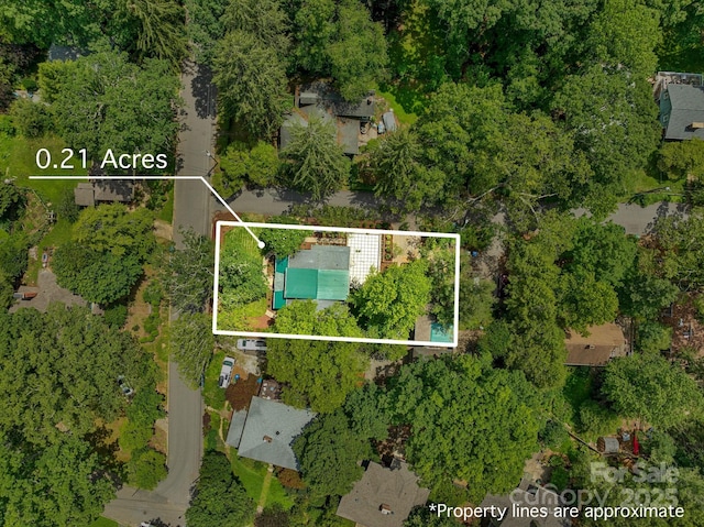 7 Rosewood Ave, Asheville, NC 28801 - photo 37