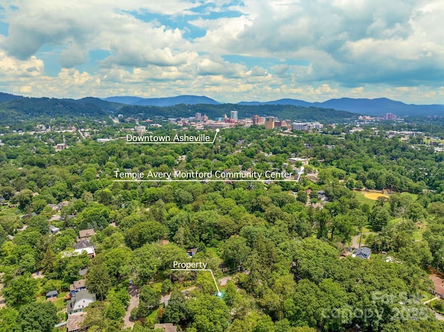 7 Rosewood Ave, Asheville, NC 28801 - photo 36