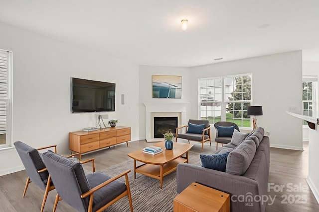 5002 Abode Lily Ln, Charlotte, NC 28227 - living room with wood finished floors and a glass covered fireplace