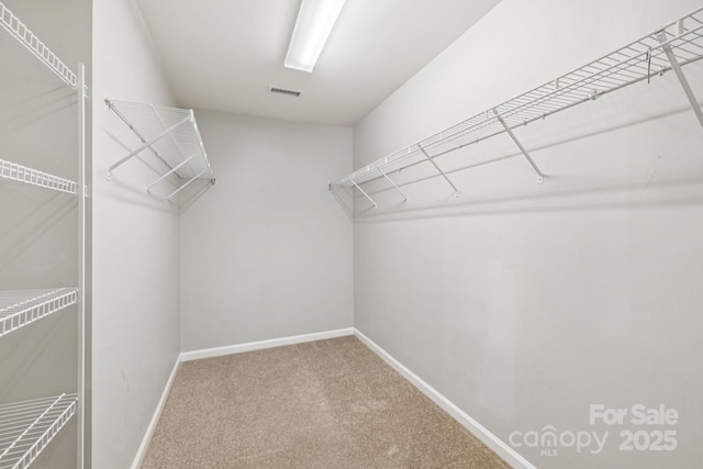 5002 Abode Lily Ln, Charlotte, NC 28227 - spacious closet featuring carpet