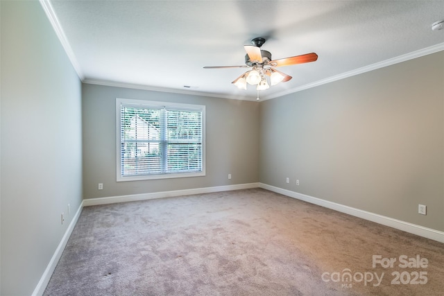 23 Allen Ave, Asheville, NC 28803 - photo 15
