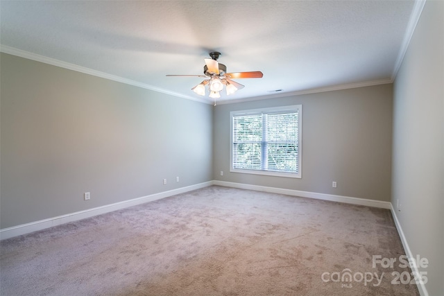 23 Allen Ave, Asheville, NC 28803 - photo 16