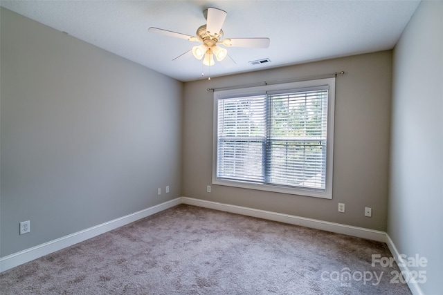 23 Allen Ave, Asheville, NC 28803 - photo 21