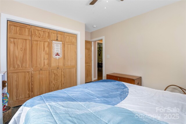 251 Vera Ln, Columbus, NC 28722 - bedroom with ceiling fan and a closet