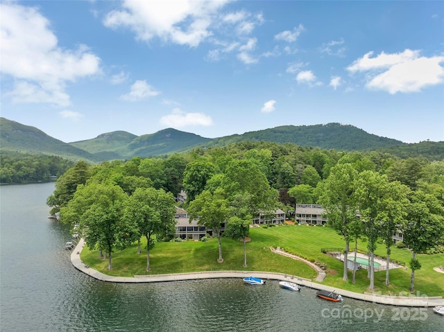 55 Toxaway Shrs Unit 14, Lake Toxaway, NC 28747 - view of mountain backdrop featuring a large body of water and a forest