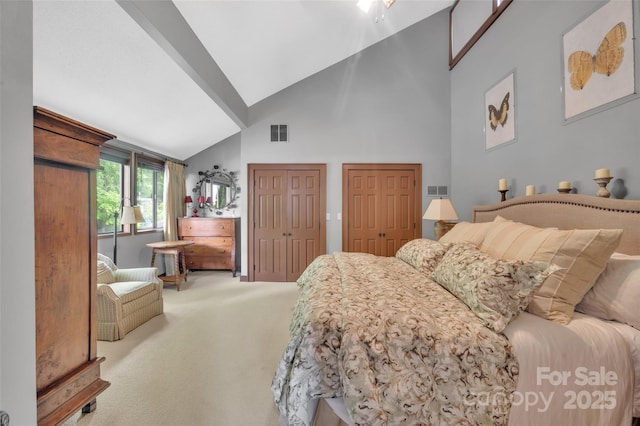 55 Toxaway Shrs Unit 14, Lake Toxaway, NC 28747 - bedroom featuring carpet floors, high vaulted ceiling, and multiple closets