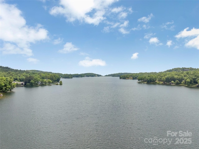 55 Toxaway Shrs Unit 14, Lake Toxaway, NC 28747 - water view featuring a heavily wooded area