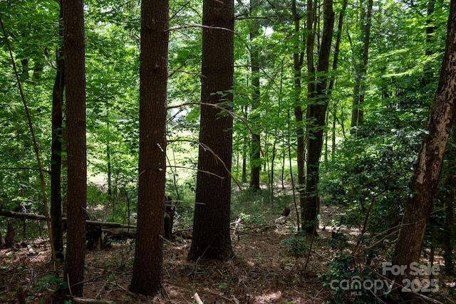 2023 White Springs Ln, Lenoir, NC 28645