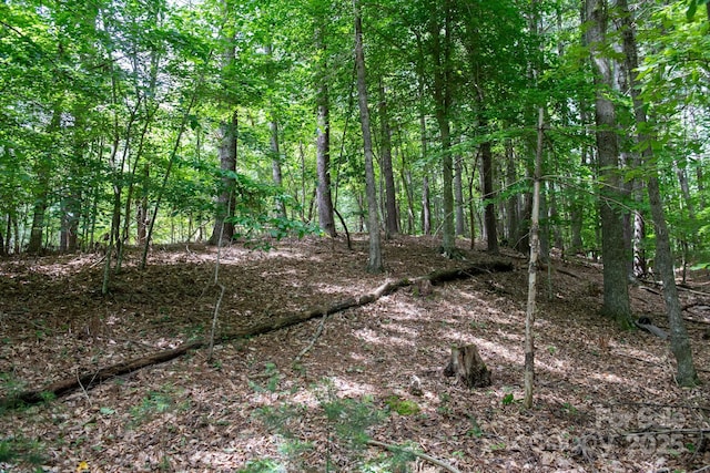 2023 White Springs Ln, Lenoir, NC 28645