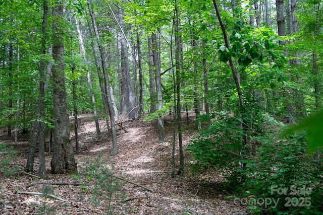 2023 White Springs Ln, Lenoir, NC 28645