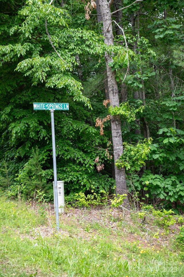 2023 White Springs Ln, Lenoir, NC 28645 - photo 37