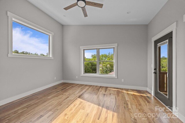 32 Woodrow Ave, Asheville, NC 28801 - photo 13