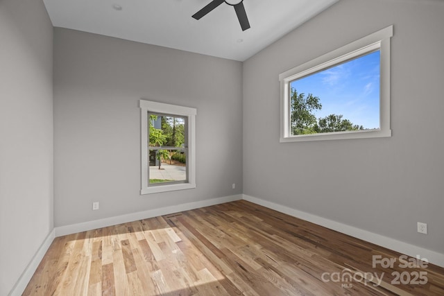 32 Woodrow Ave, Asheville, NC 28801 - photo 16