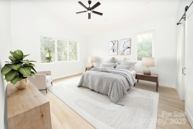29 Robin St, Asheville, NC 28803 - photo 6