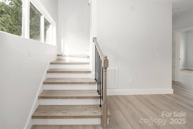 29 Robin St, Asheville, NC 28803 - photo 18