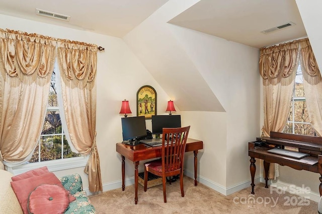 387 Goodview Dr, Hendersonville, NC 28792 - home office with carpet flooring, plenty of natural light, and vaulted ceiling
