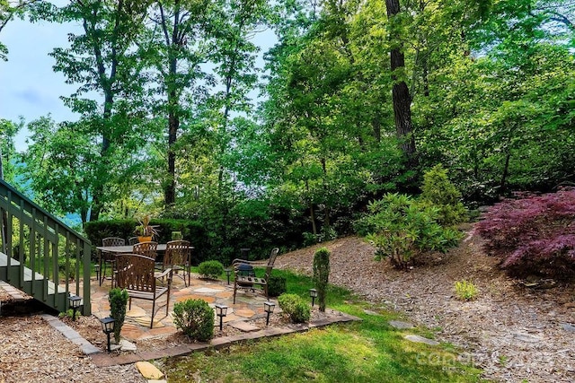 387 Goodview Dr, Hendersonville, NC 28792 - view of yard featuring a patio area