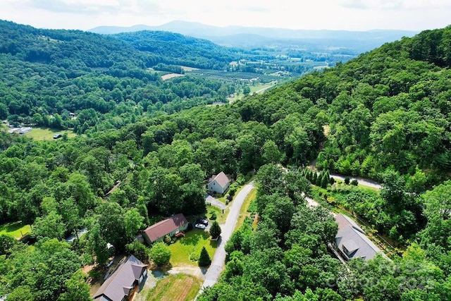 387 Goodview Dr, Hendersonville, NC 28792 - bird's eye view of a forest and a mountain backdrop