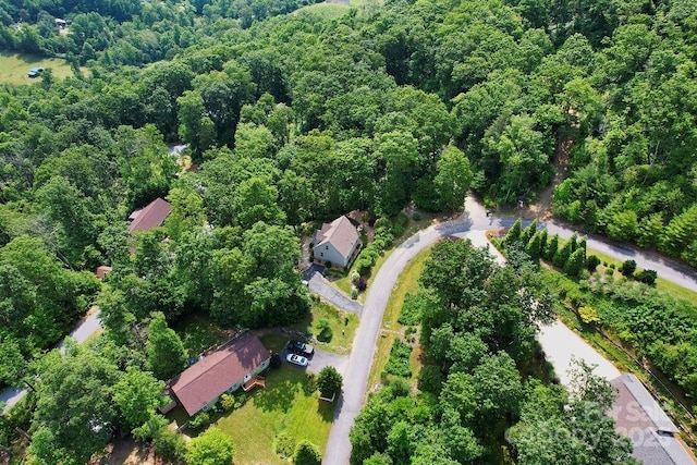 387 Goodview Dr, Hendersonville, NC 28792 - aerial overview of property's location featuring a heavily wooded area