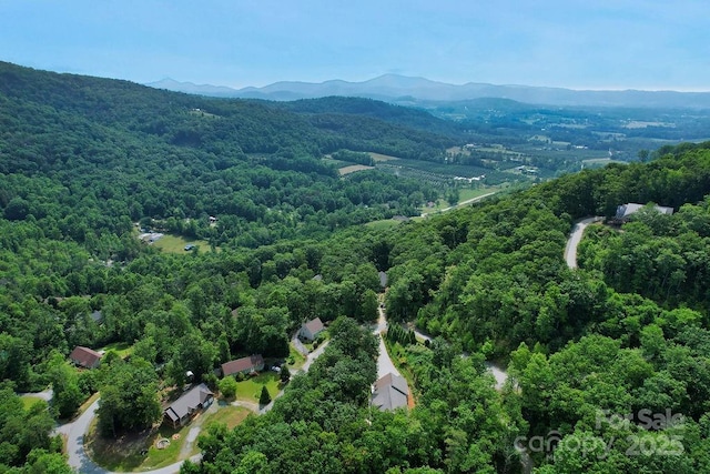 387 Goodview Dr, Hendersonville, NC 28792 - drone / aerial view of a heavily wooded area and a mountainous background