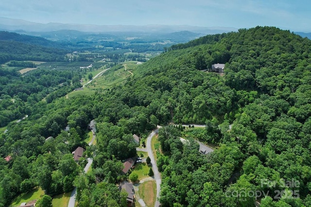 387 Goodview Dr, Hendersonville, NC 28792 - bird's eye view of a forest and a mountain backdrop