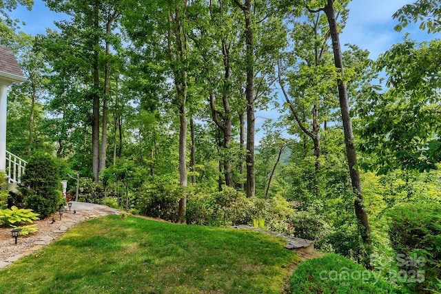 387 Goodview Dr, Hendersonville, NC 28792 - view of green lawn
