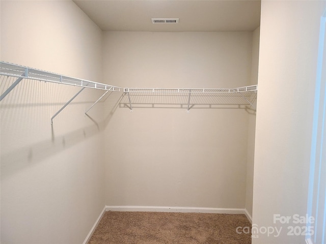 1195 Winding Creek Rd, Salisbury, NC 28146 - walk in closet featuring carpet floors