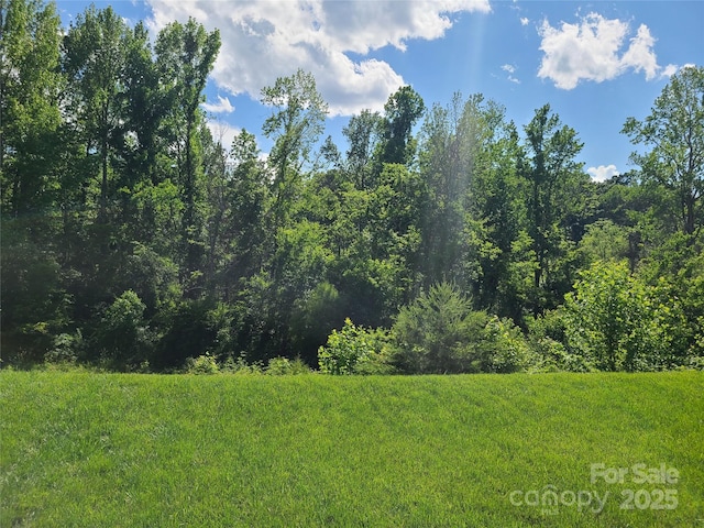 1195 Winding Creek Rd, Salisbury, NC 28146 - view of wooded area