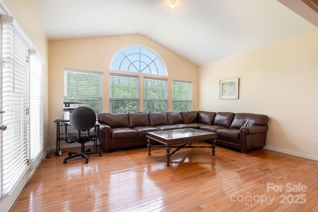 4201 Amber Leigh Way Dr, Charlotte, NC 28269 - living area with lofted ceiling and light wood-style floors