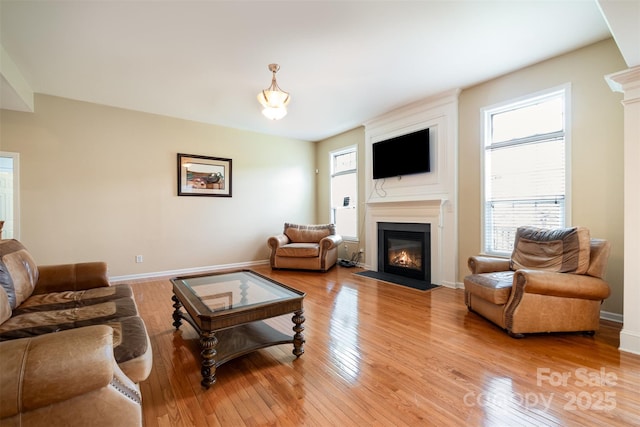 4201 Amber Leigh Way Dr, Charlotte, NC 28269 - living room with a fireplace and light wood-type flooring