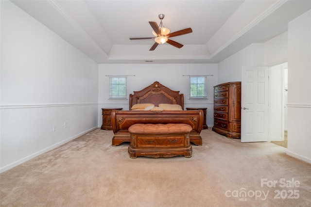 4201 Amber Leigh Way Dr, Charlotte, NC 28269 - bedroom with a raised ceiling, multiple windows, and carpet floors