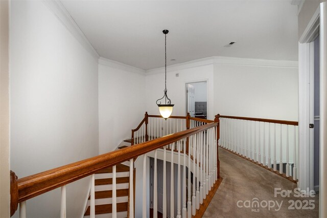 4201 Amber Leigh Way Dr, Charlotte, NC 28269 - photo 15