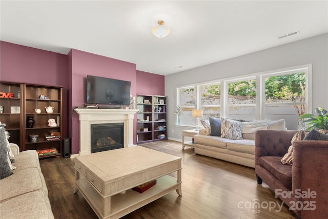 3212 Gilroy Dr, Fort Mill, SC 29707 - living room featuring a glass covered fireplace and dark wood-style flooring