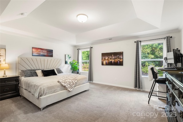 3212 Gilroy Dr, Fort Mill, SC 29707 - carpeted bedroom featuring a tray ceiling and ornamental molding