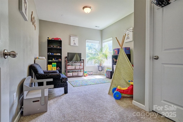 511 Rough Hewn Ln, Rock Hill, SC 29730 - photo 19