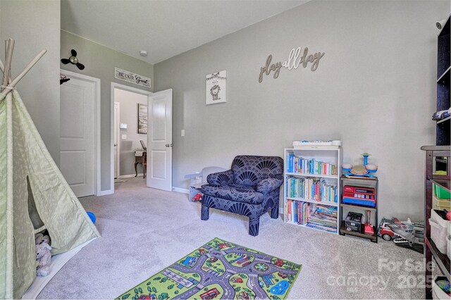 511 Rough Hewn Ln, Rock Hill, SC 29730 - photo 21