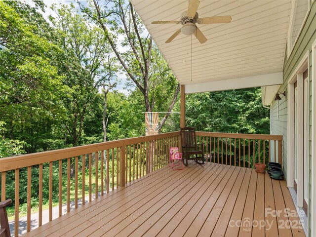 799 Coyote Hollow Rd, Waynesville, NC 28785 - photo 3